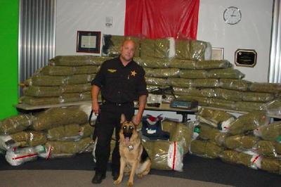 police_dog_drug_detection-thumb.jpg